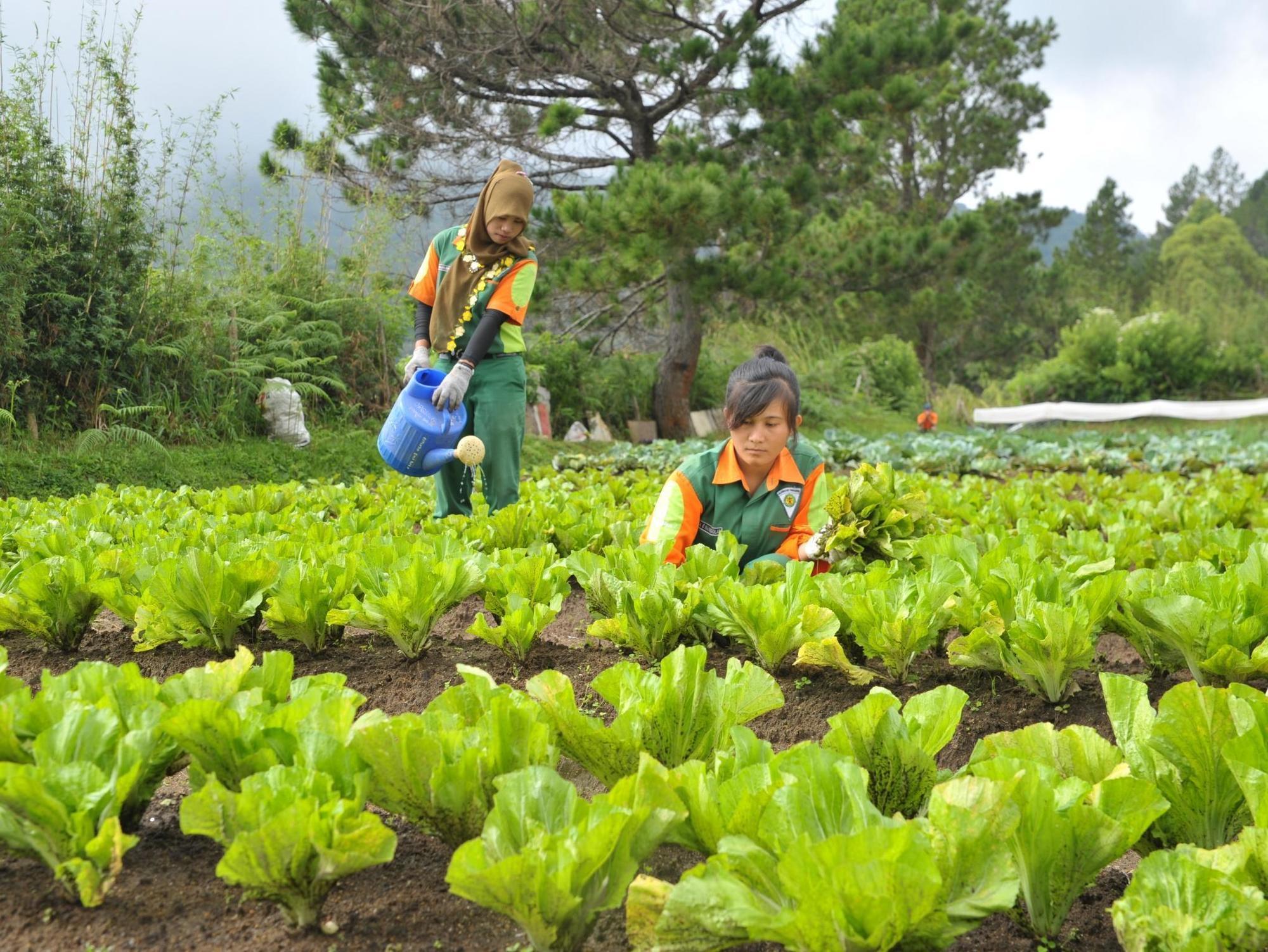 Taman Simalem Resort Tongging 외부 사진