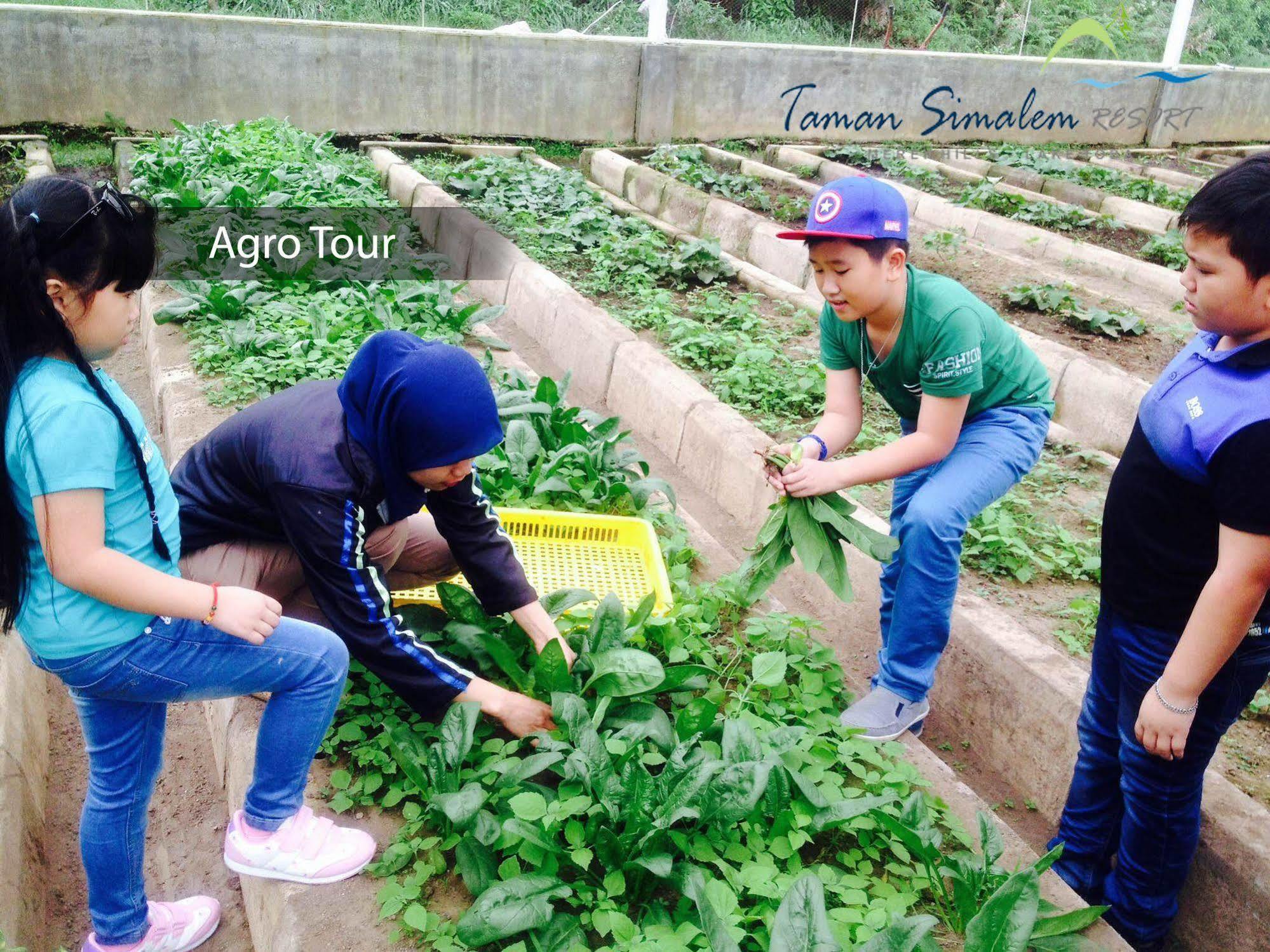 Taman Simalem Resort Tongging 외부 사진