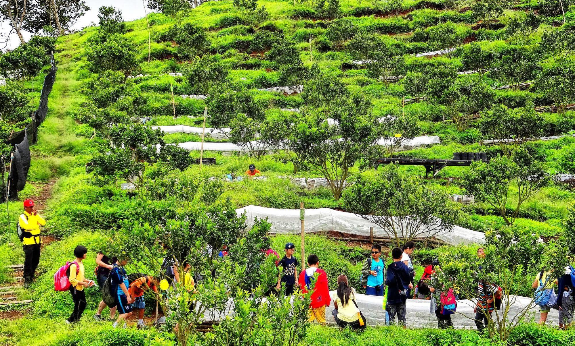 Taman Simalem Resort Tongging 외부 사진